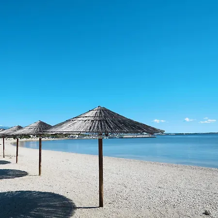 Simic 3 By Interhome * Vir